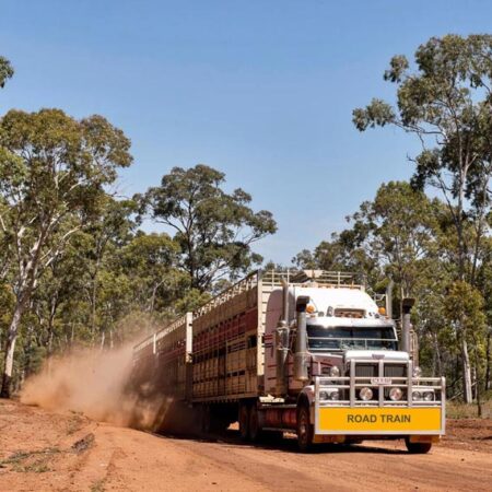 Road train crash near Darwin highlights workplace drug testing importance Road trains provide a valuable service in the Northern Territory, however, safety must be paramount. Which is why workplace drug testing is vital.