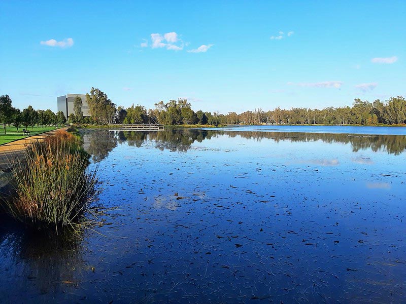 Integrity Sampling in Shepparton delivers a full range of drug and alcohol management services designed to enhance workplace safety and productivity. Credit denisbin https://www.flickr.com/photos/82134796@N03/52074856079/in/photolist-2nkFfsc-2n3G5vs-2n698zN-2ngHAGU-2n1anDg-2nr3pT5-2ngRAuG-2n16sCg-2n173Y2-2mZYUDG-2n6aL4L-2n6cpkP-2ngNX9j-2n6aL2S-2ngNXa6-2n3K26T-2n16vvW-2mXQ9ce-2n64afT-2nnhGFV-2ndA67b-drnz9E-2n69BKH-drnyWw-2mZYUB2-2ndmaAD-2n18ec5-2mZ4C95-2n64aq2-2n69HAf-drnp3B-2ncZEFL-2n127FJ-2n64gd4-2n64ajv-2n69eud-2mZYULF-drnyw7-2n16vGs-2n698Jv-drnxLL-2ndsbqf-2ndsbo6-2n3yaX6-GesGEx-2hjoDZg-2hjrrfX-drnojv-2hjrri2-2n3HiXM.